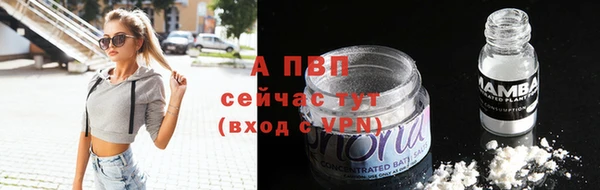 шишки Верхний Тагил