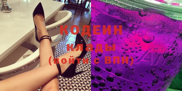 шишки Верхний Тагил