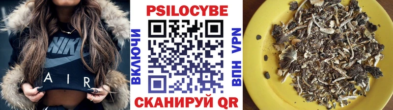 Галлюциногенные грибы MAGIC MUSHROOMS  блэк спрут ССЫЛКА  Дятьково  даркнет сайт 